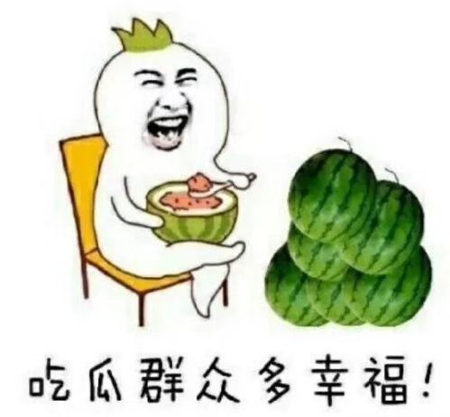 娱乐圈的吃瓜在哪里